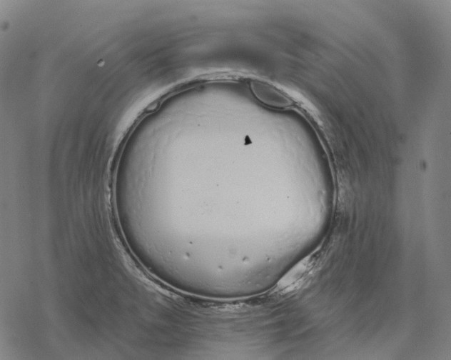 X0000076421279200610271659