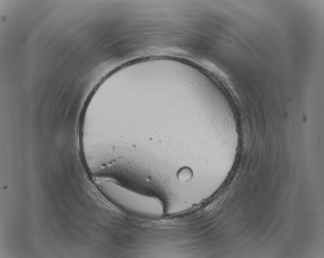 X0000076421280200610271659