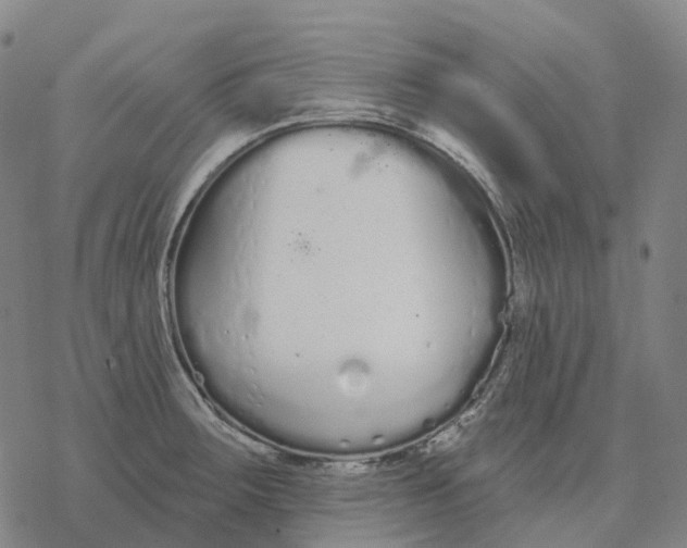 X0000076421283200610271659