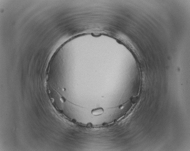 X0000076421284200610271659