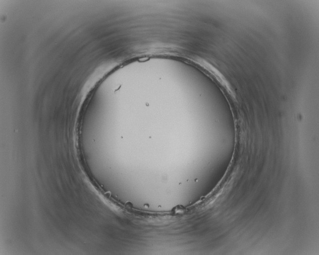 X0000076421285200610271659