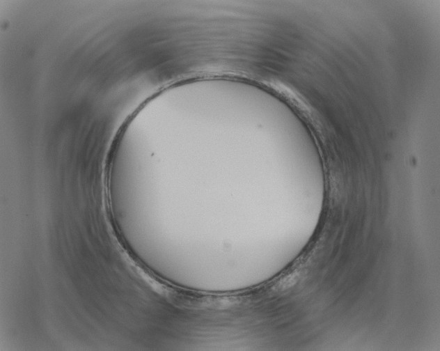 X0000076421286200610271659