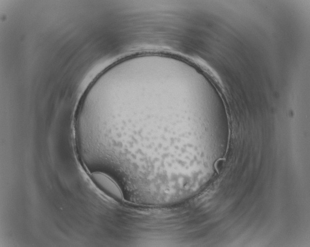 X0000076421287200610271659