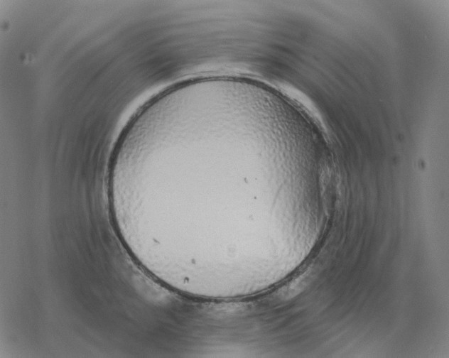 X0000076421288200610271659