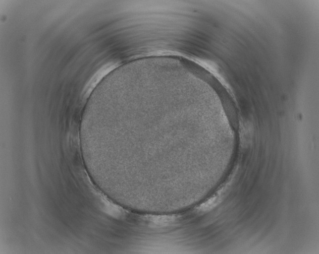 X0000076421289200610271659