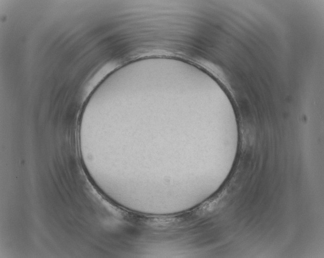 X0000076421290200610271659