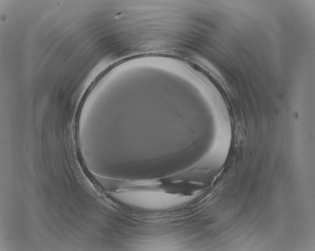 X0000076421291200610271659