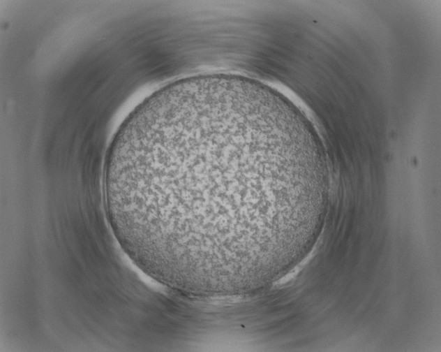 X0000076421294200610271659