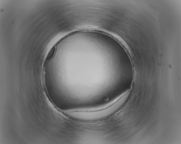 X0000076421295200610271658