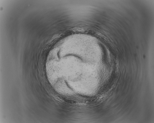 X0000076421297200610271658