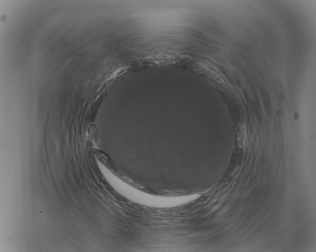 X0000076421298200610271658