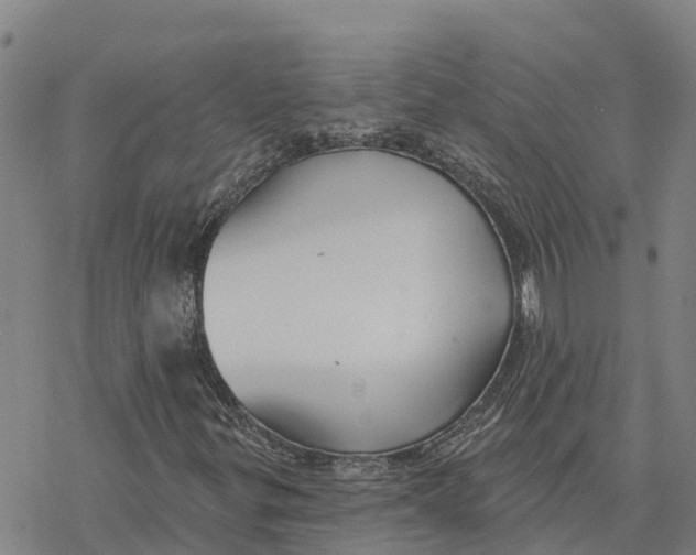 X0000076421299200610271658