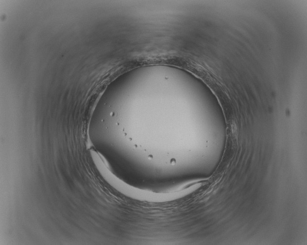 X0000076421300200610271658