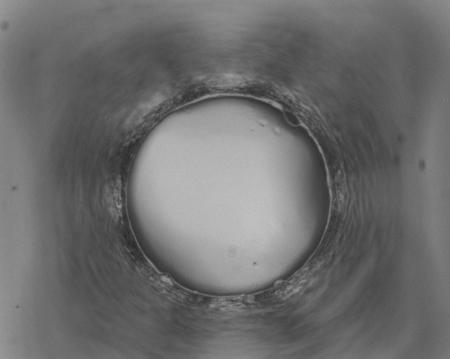 X0000076421301200610271658