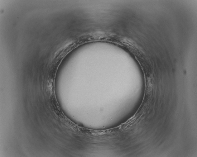 X0000076421302200610271658