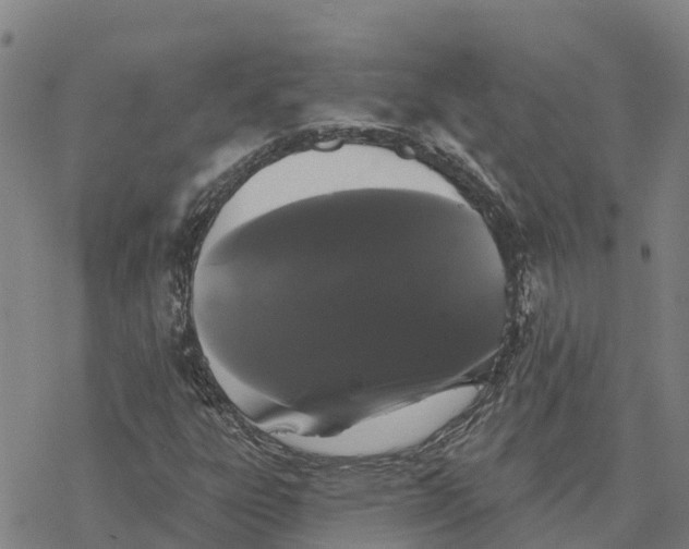 X0000076421303200610271658