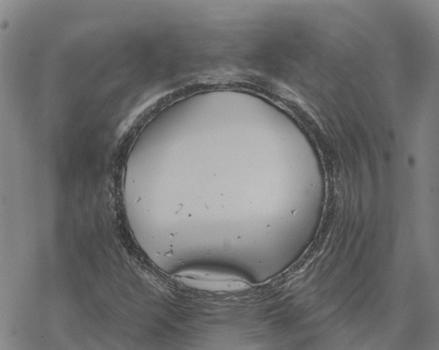 X0000076421304200610271658