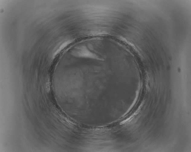 X0000076421306200610271658