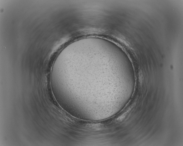 X0000076421309200610271658