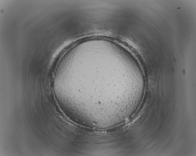 X0000076421310200610271658