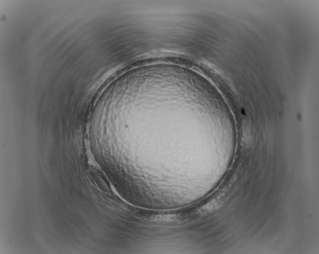 X0000076421313200610271658