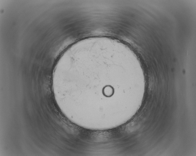 X0000076421314200610271658