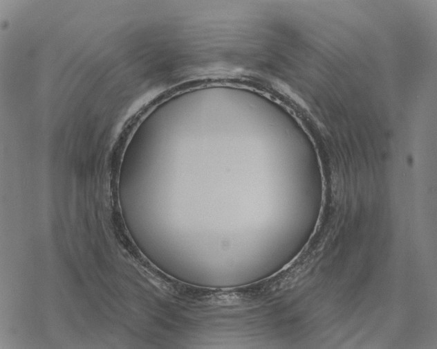 X0000076421315200610271658