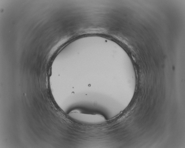 X0000076421317200610271658