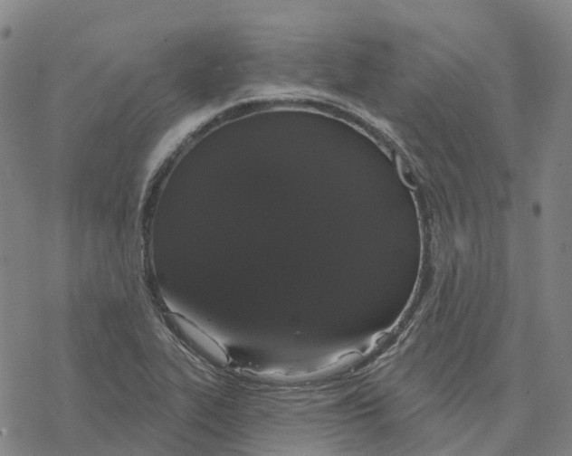 X0000076421319200610271658