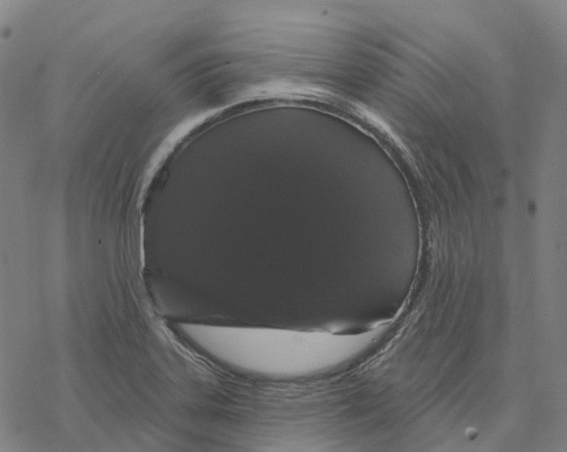 X0000076421323200610271658