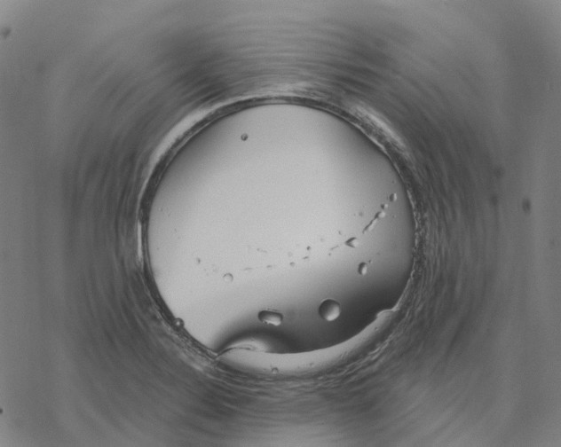 X0000076421324200610271658