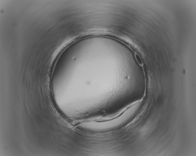 X0000076421325200610271658