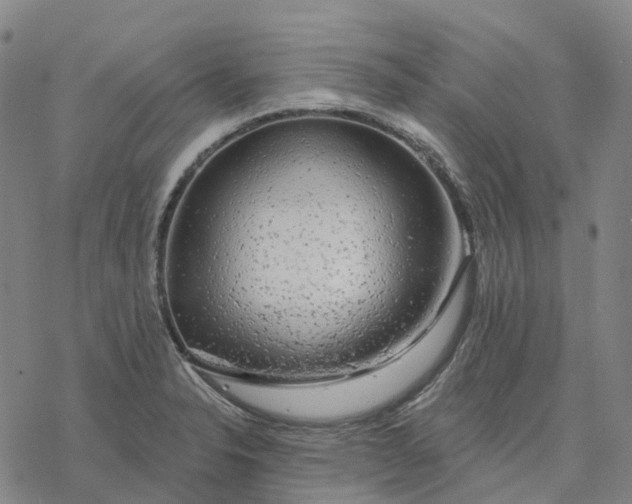 X0000076421326200610271658