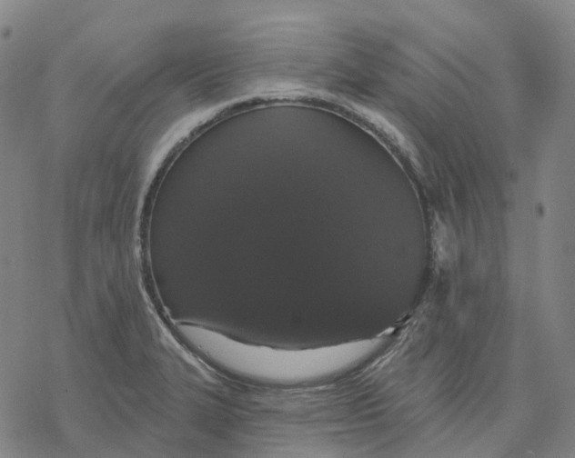 X0000076421327200610271658