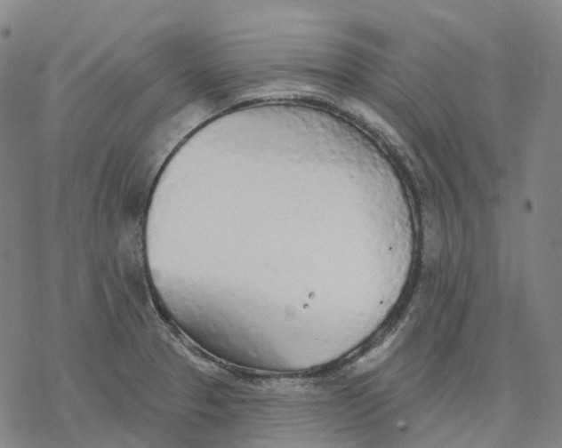 X0000076421329200610271658