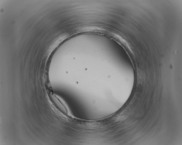 X0000076421330200610271658