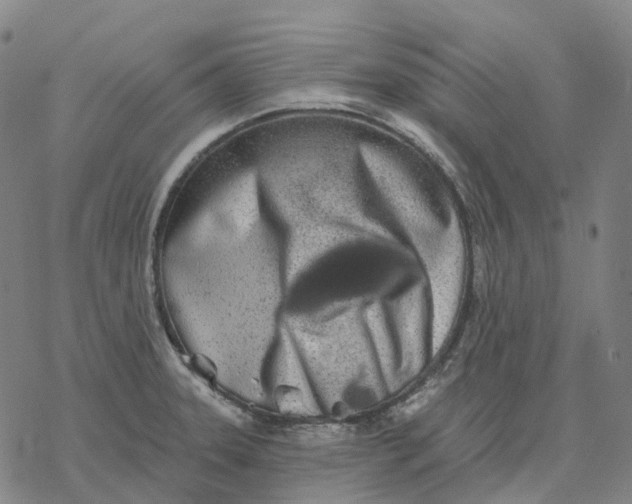 X0000076421331200610271658