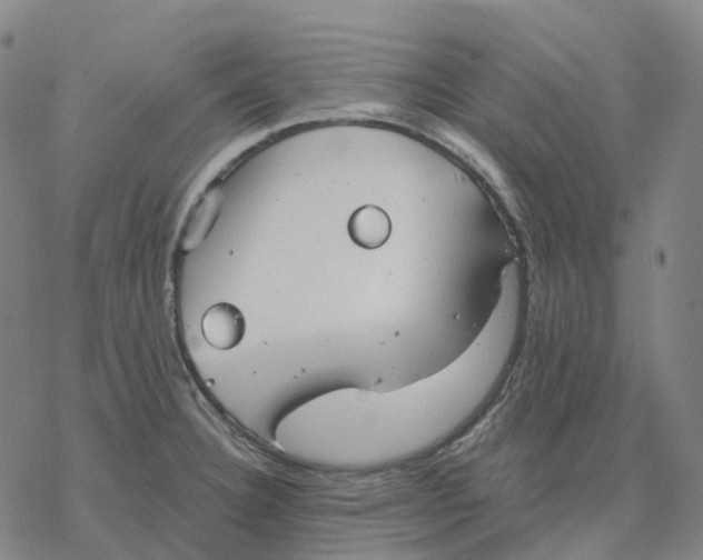 X0000076421332200610271658