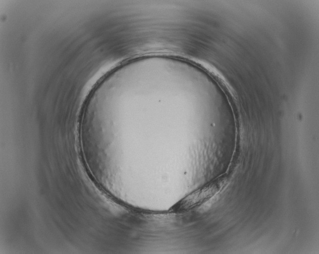 X0000076421333200610271658