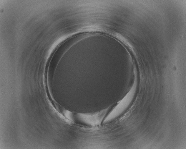 X0000076421334200610271658