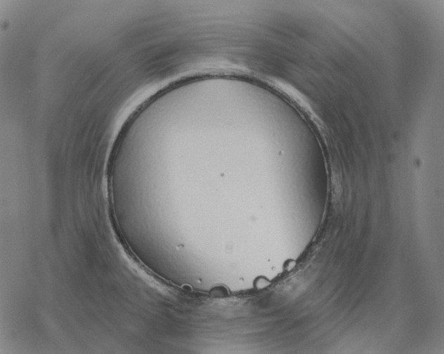 X0000076421335200610271658