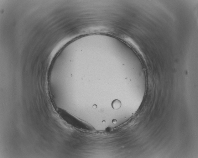 X0000076421336200610271658