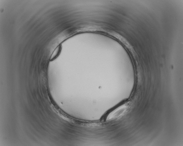 X0000076421337200610271658