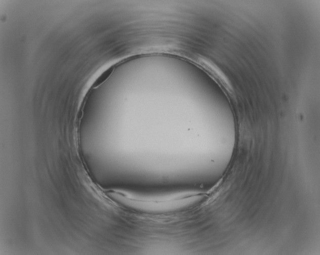 X0000076421340200610271658