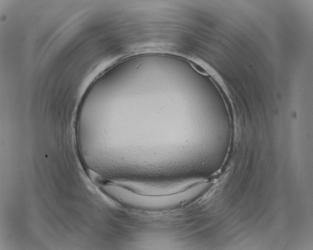 X0000076421341200610271658