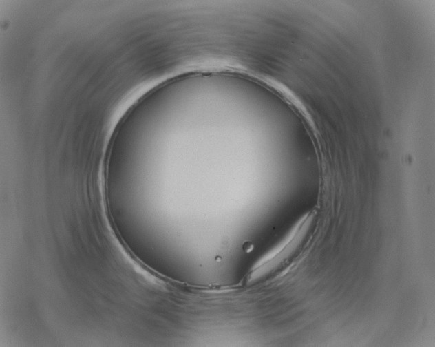 X0000076421343200610271658