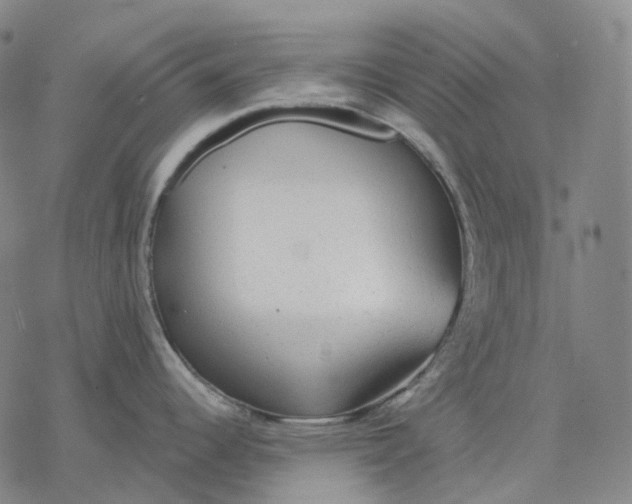 X0000076421344200610271658