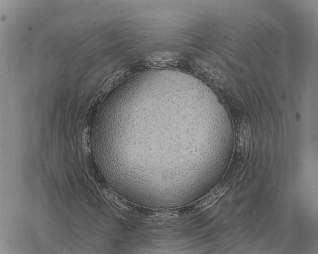 X0000076421346200610271658