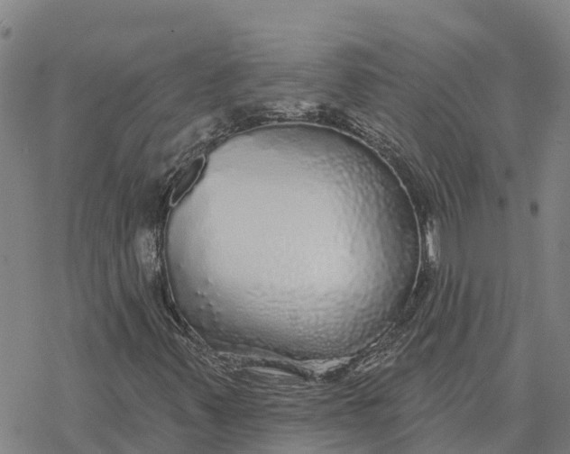 X0000076421347200610271658