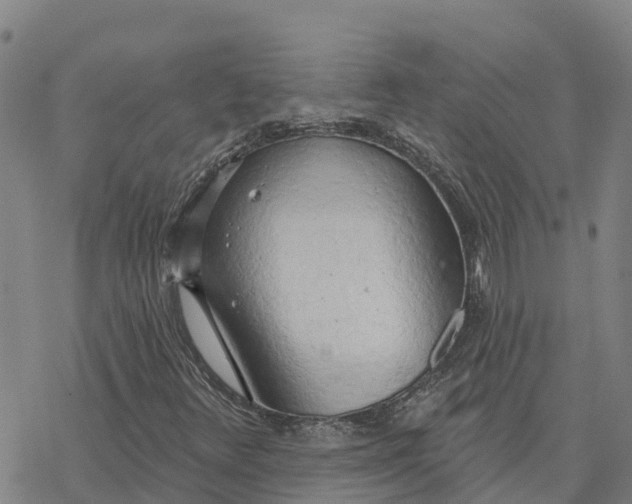 X0000076421348200610271658